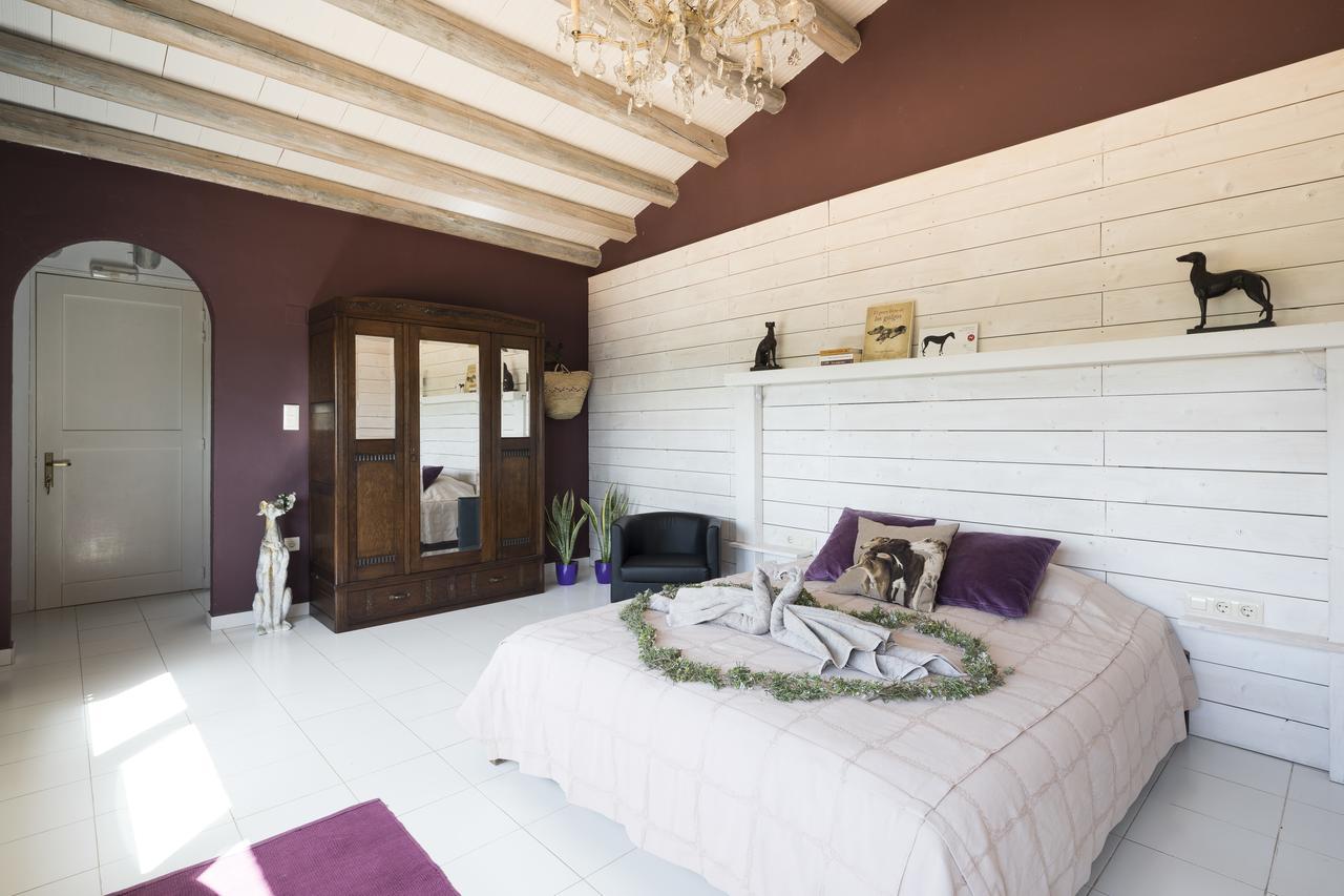 Can Patiras B&B Cistella Exterior foto